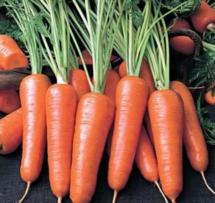 Жалаңаш фитнес онлайн