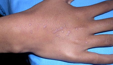 Шашы жетілген порно