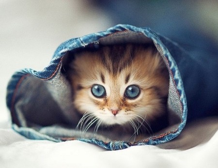 Үлкен семіз әжелермен жыныстық қатынас