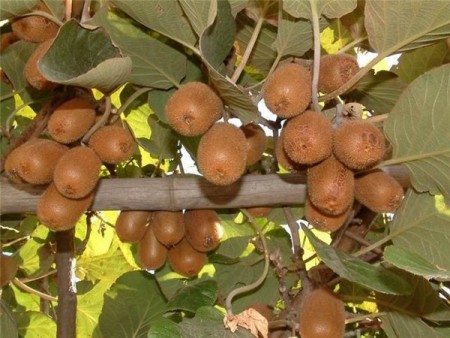 Порно видео гей порно қара нәсілділер