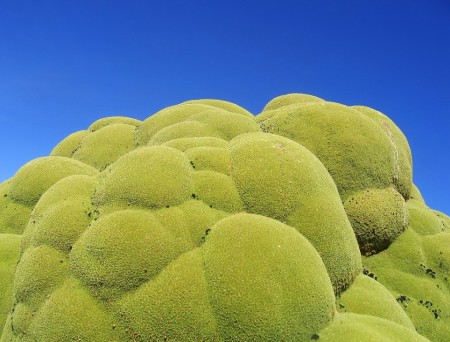 Николь Грейвстің мастурбациясы