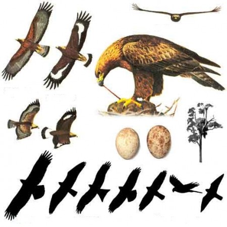 Қоғамдық жерде мастурбация жасап жатқан қызды қараңыз